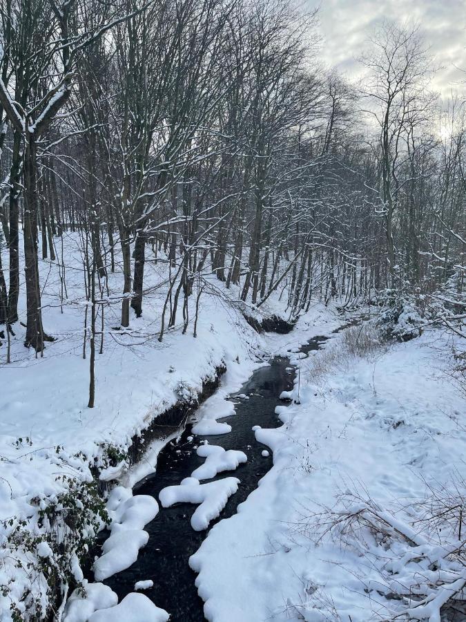 Domek Z Widokiem Na Blizniaki Chocznia Exterior photo